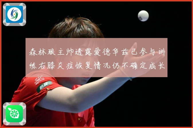 森林狼主帅透露爱德华兹已参与训练右膝炎症恢复情况仍不确定成长观察-深度解析