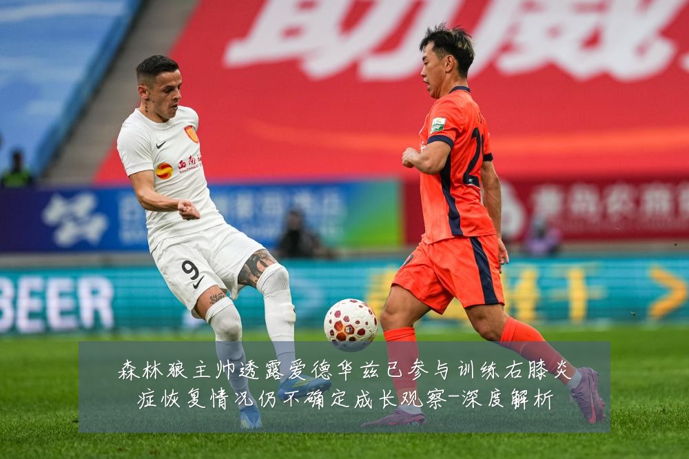森林狼主帅透露爱德华兹已参与训练右膝炎症恢复情况仍不确定成长观察-深度解析